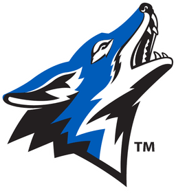 California State University San Bernardino banner logo