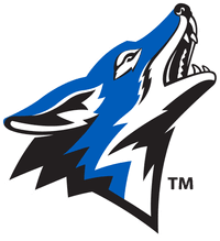California State University San Bernardino banner logo