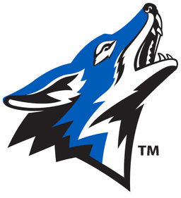 California State University San Bernardino banner logo