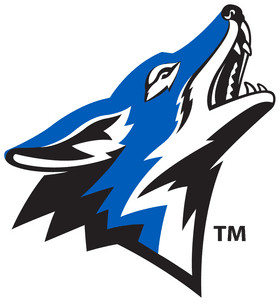 California State University San Bernardino banner logo